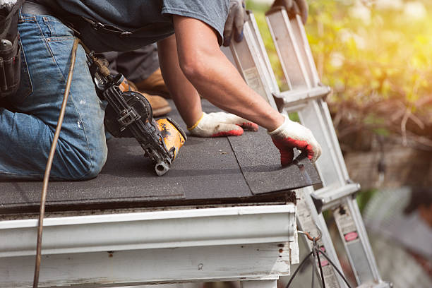 Best Metal Roofing Contractor  in Jackson, WI