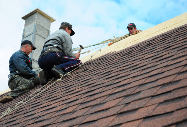 Best Storm Damage Roof Repair  in Jackson, WI