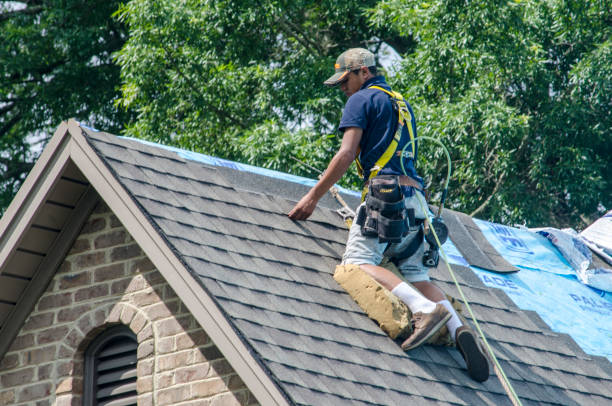 Best Shingle Roofing Installation  in Jackson, WI